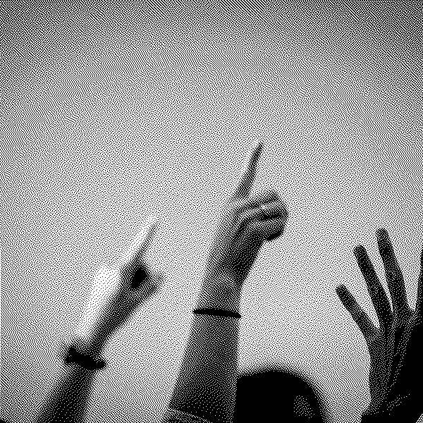 La demande de sécurité : une aspiration au bien-être