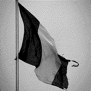 Marine Le Pen, candidate du parti de l’étranger