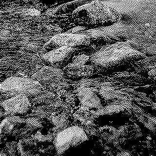 Programmes d’action nitrates : les résultats ne sont à la hauteur ni des attentes ni des enjeux