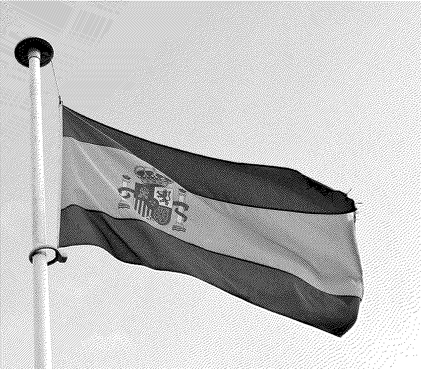 Un « logiciel » fédéral pour l’Espagne