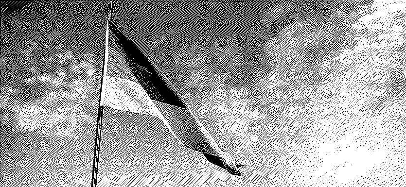 German Economic Perspectives After the Legislative Elections