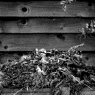 5 ans de la loi AGEC : grande ambition, timide application