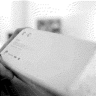 Les 5 ans de la loi AGEC : après la loi, l’urgence d’un déploiement systémique !