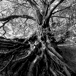 Qu’est ce que la loi Agec ?