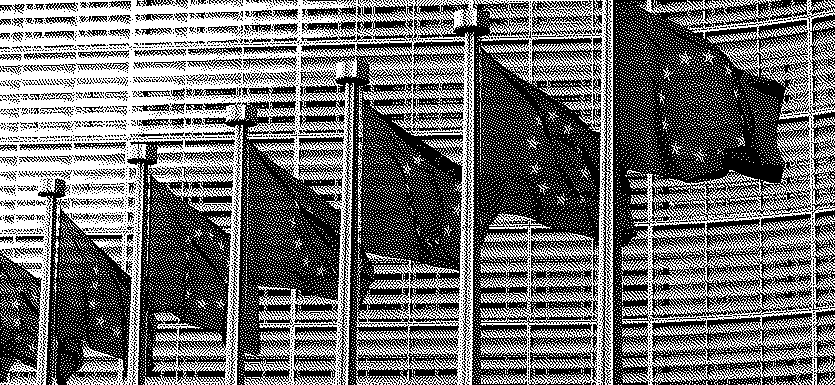 Pour un pacte vert entre l’Europe et la Chine