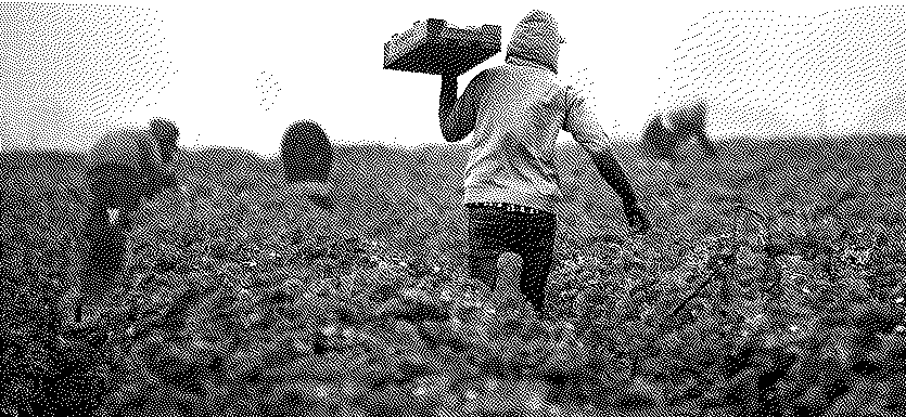 Pénibilité : d’une logique de réparation à une stratégie de prévention