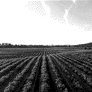 Derrière la crise du Mercosur, l’impasse du modèle agricole français