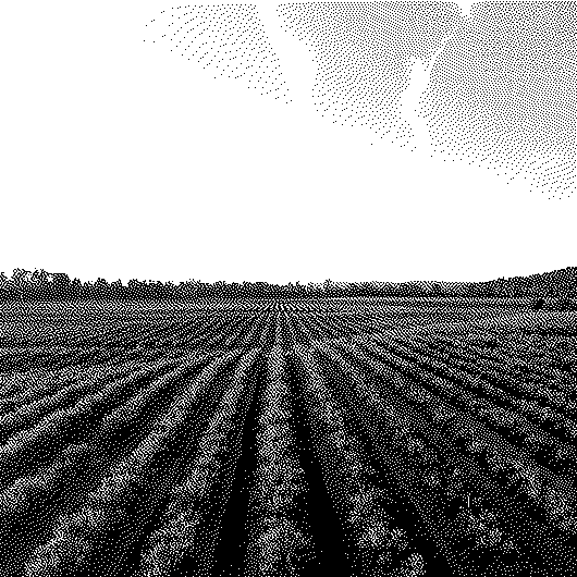 Derrière la crise du Mercosur, l’impasse du modèle agricole français