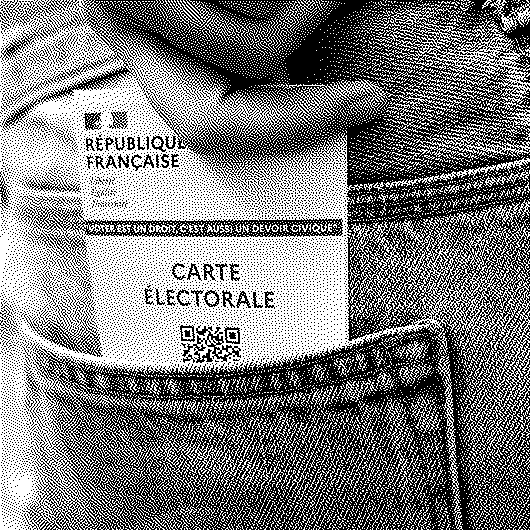 Tous écologistes ? Ce que révèlent les programmes municipaux parisiens