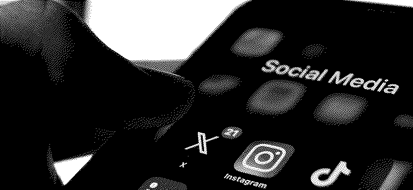 Sarah Knafo et Elon Musk : une histoire classée X