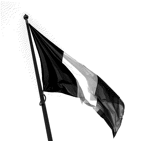 Alliances, grandeur et aveuglement du politique