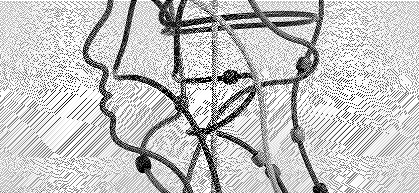 Santé mentale : la grande cause à l’œuvre