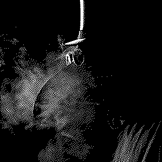 Ecrire l’histoire de la peste noire, une aventure du savoir