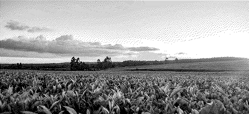 De nouveaux équilibres pour le monde agricole