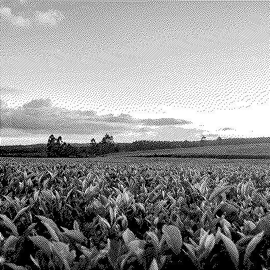 De nouveaux équilibres pour le monde agricole