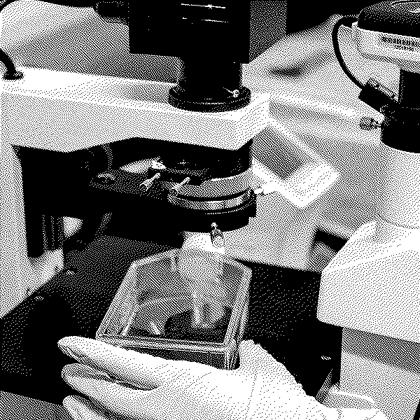 Défendre la science en invoquant sa neutralité : pas si simple !