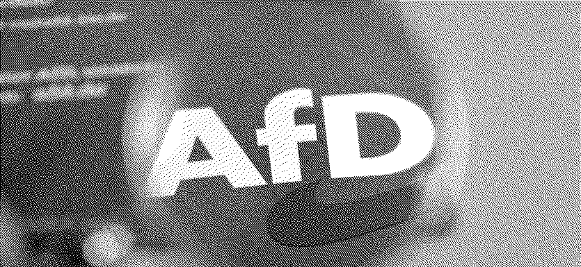 Le programme de rupture de l’AfD pour l’élection régionale de Saxe Anhalt