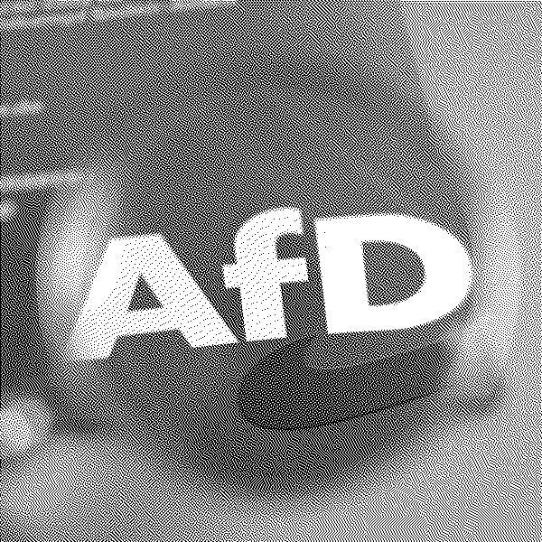 Le programme de rupture de l’AfD pour l’élection régionale de Saxe Anhalt