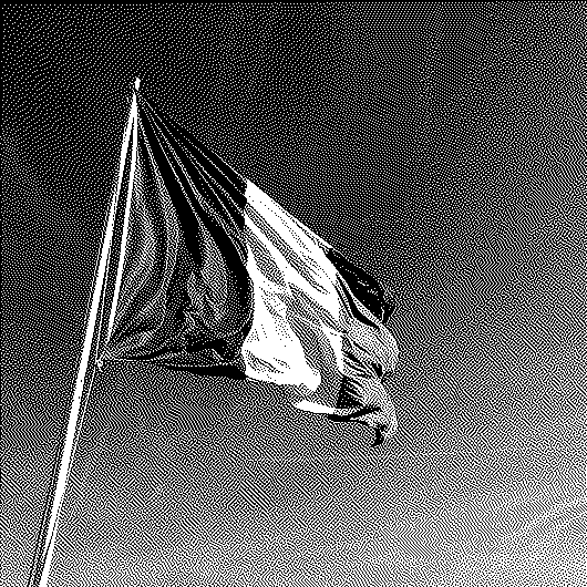 La convergence des ressentis fait-elle démocratie ?